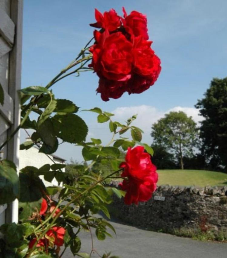 Inglenook Cottage Grange-over-Sands Esterno foto